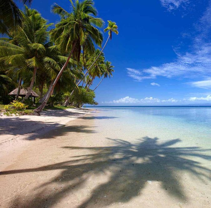 Fiji Strand mit Palmen